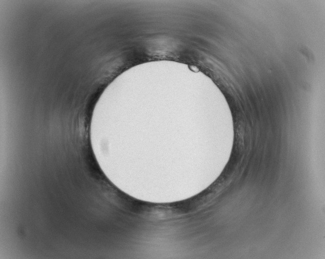 X0000116550420201001071119