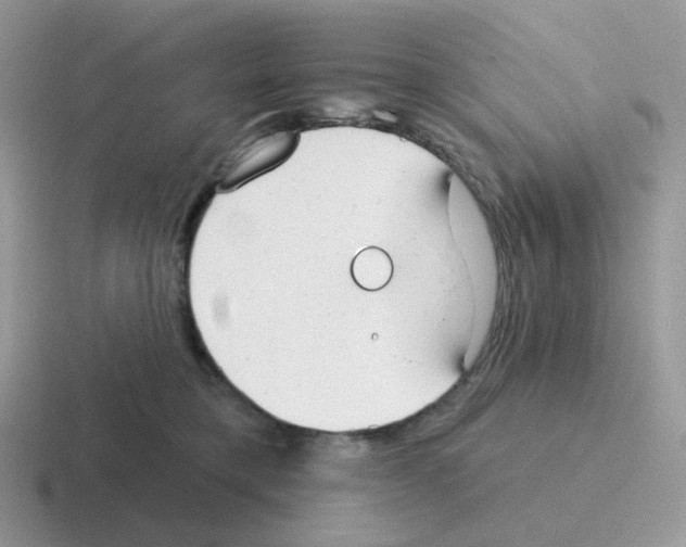 X0000116550421201001071119