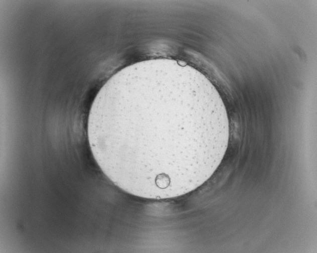 X0000116550422201001071119