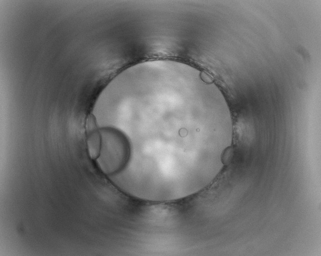 X0000116550423201001071119