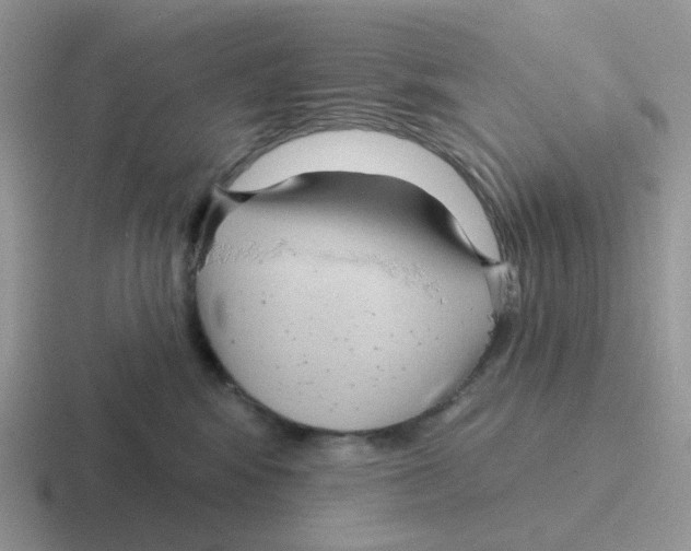 X0000116550424201001071119