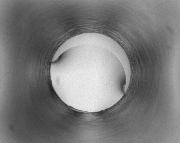 X0000116550425201001071119