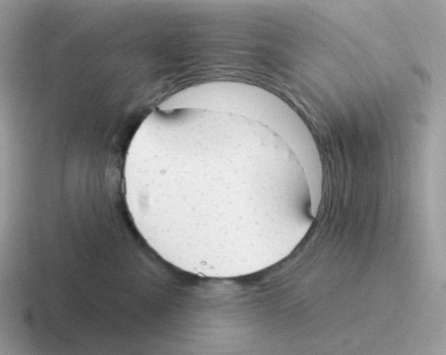 X0000116550427201001071119