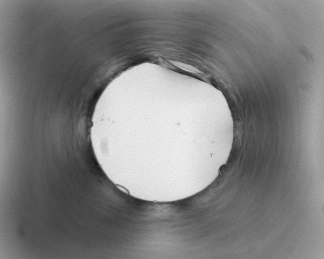 X0000116550428201001071119