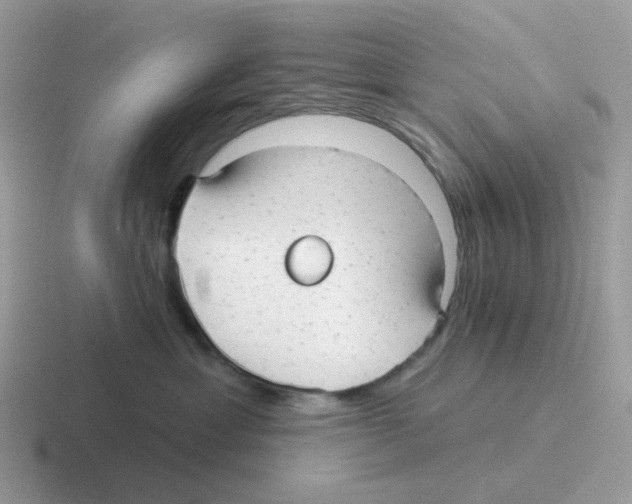 X0000116550429201001071119