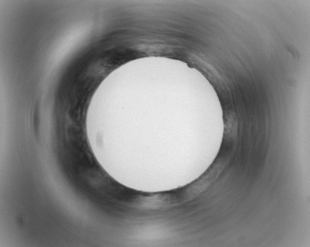 X0000116550430201001071119