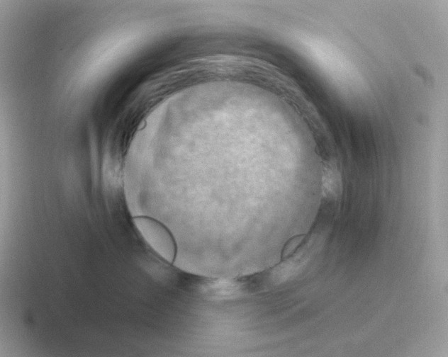 X0000116550431201001071119