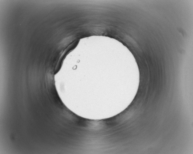 X0000116550432201001071119