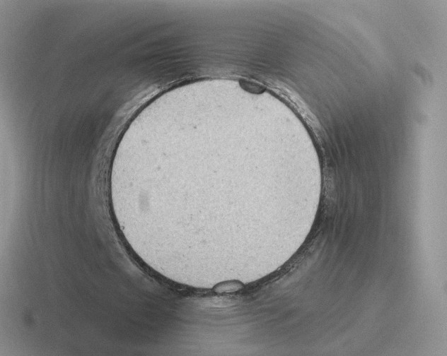 X0000116550433201001071119