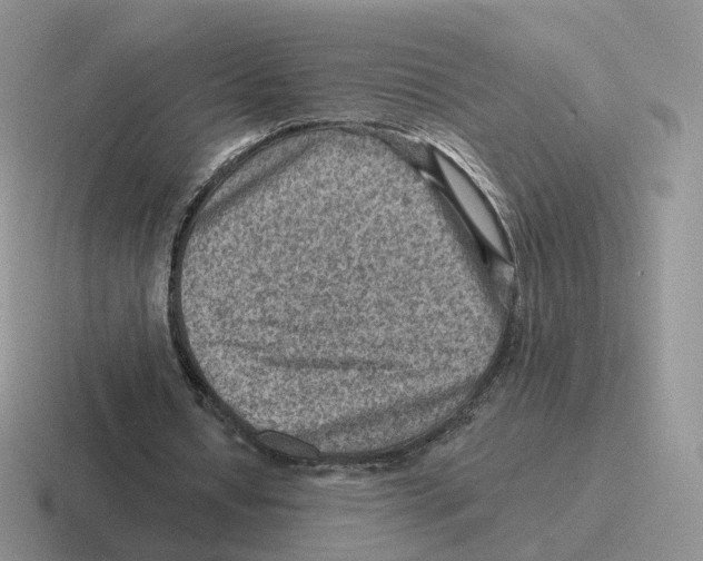 X0000116550434201001071119