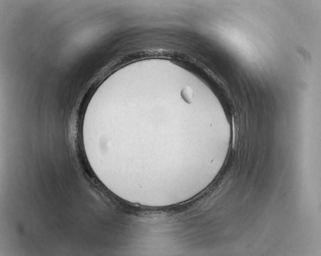 X0000116550435201001071119