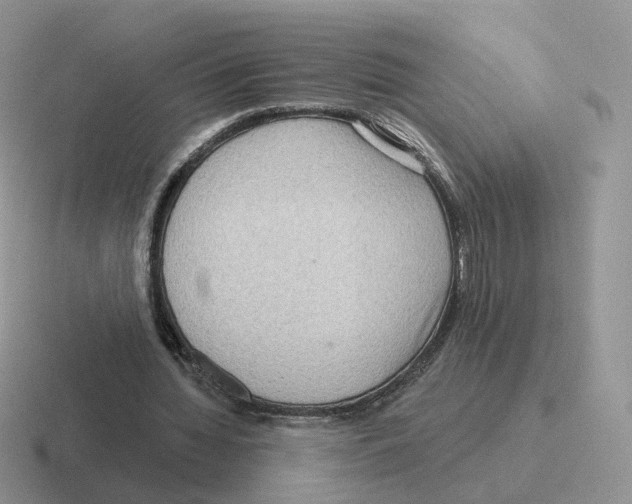 X0000116550436201001071119