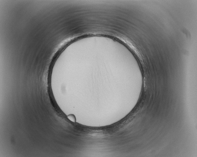 X0000116550438201001071119