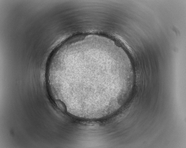 X0000116550443201001071119