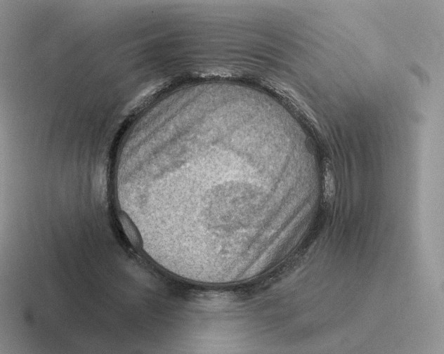 X0000116550444201001071119