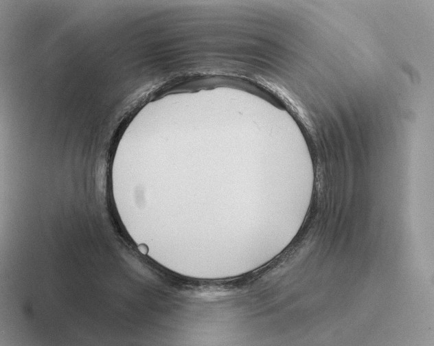 X0000116550445201001071119