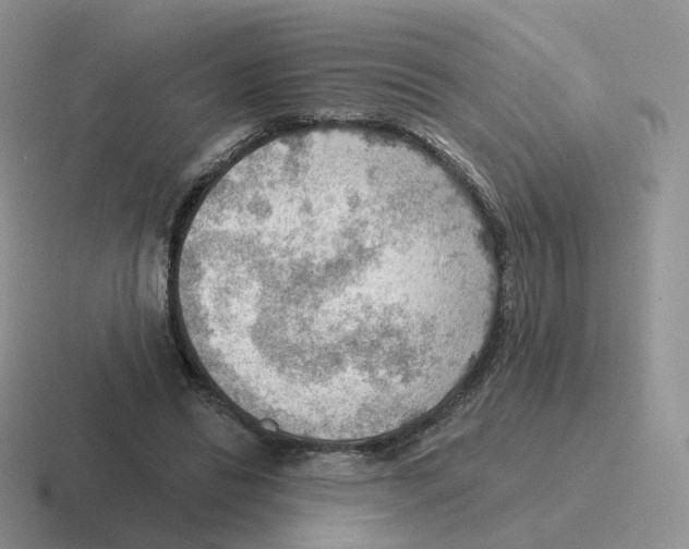 X0000116550446201001071119