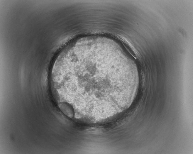 X0000116550447201001071119