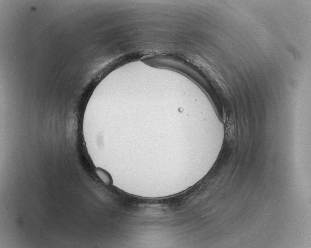 X0000116550448201001071119