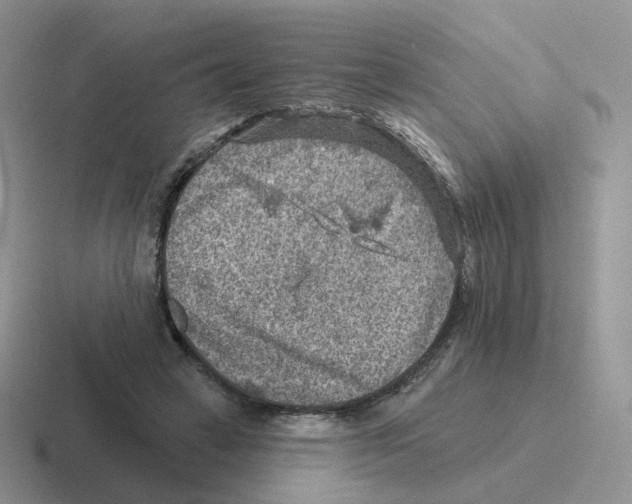 X0000116550449201001071119