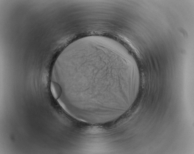 X0000116550451201001071119