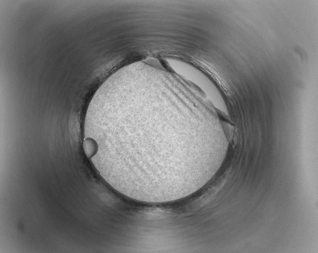 X0000116550453201001071119