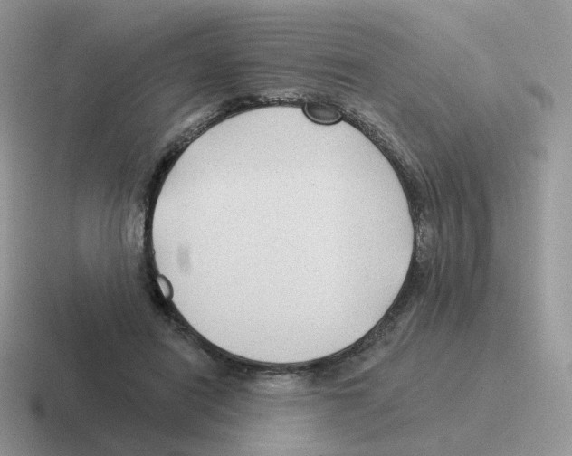 X0000116550454201001071119