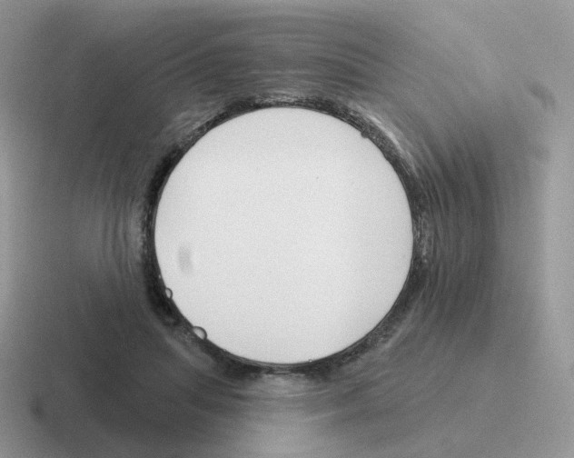 X0000116550455201001071119