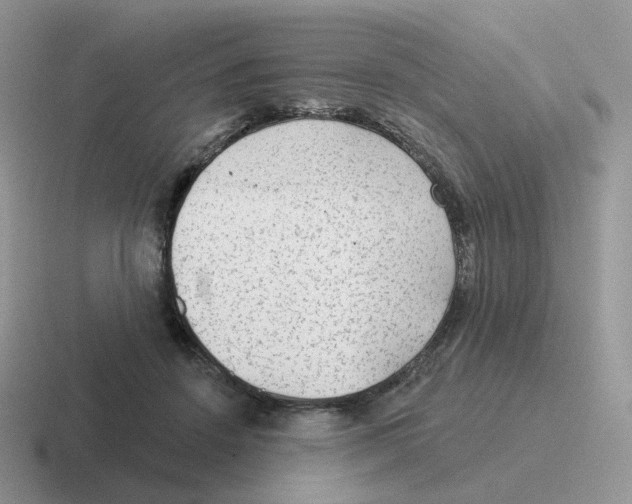 X0000116550456201001071119