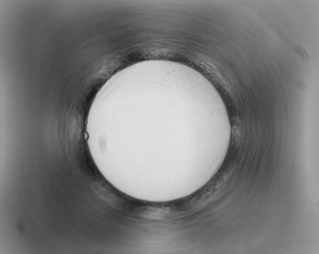 X0000116550458201001071119