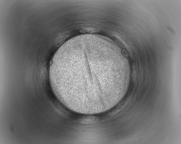 X0000116550459201001071119