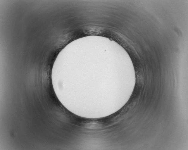 X0000116550460201001071119