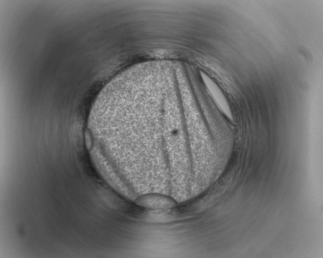 X0000116550461201001071119