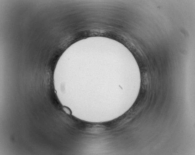 X0000116550463201001071119