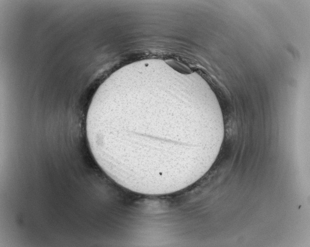 X0000116550464201001071119