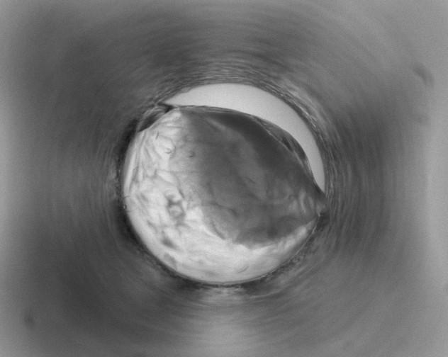 X0000116550465201001071119