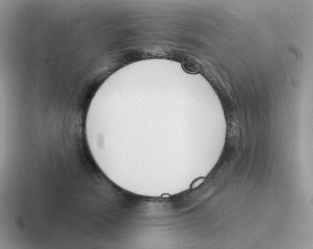 X0000116550466201001071119