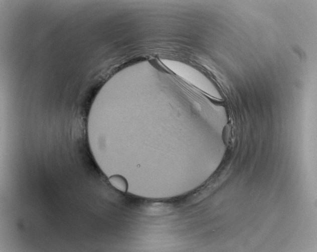 X0000116550467201001071119