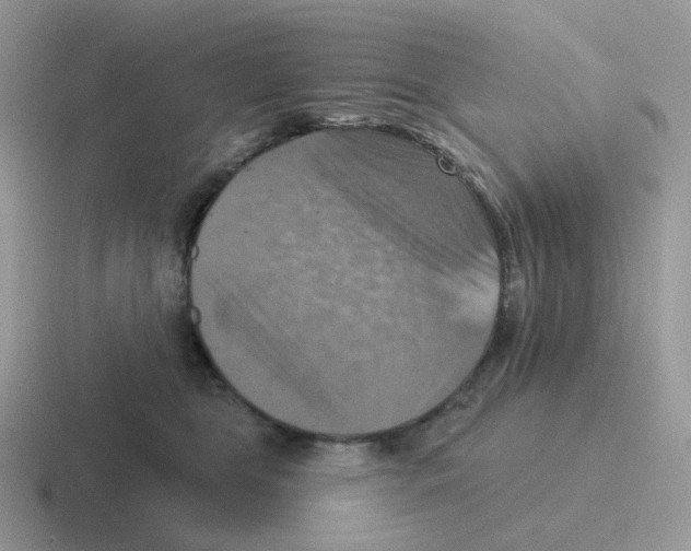 X0000116550469201001071119