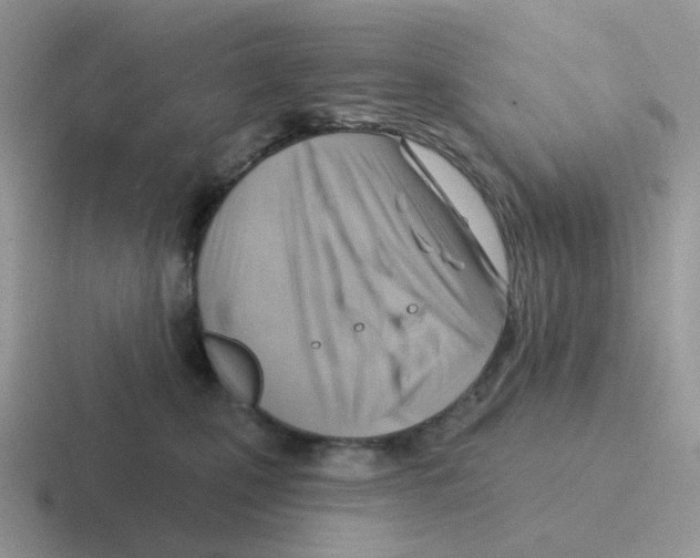 X0000116550471201001071119