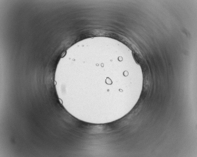 X0000116550473201001071119