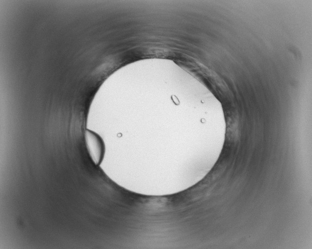 X0000116550474201001071119