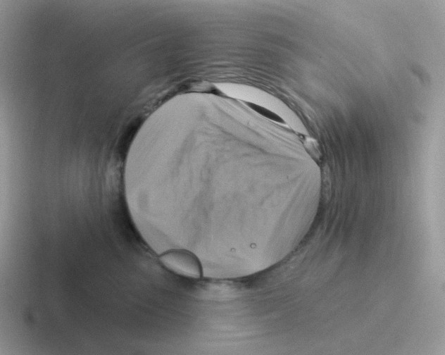 X0000116550475201001071119