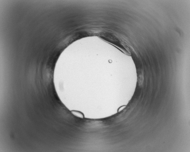 X0000116550476201001071119