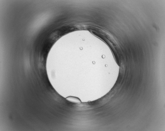 X0000116550477201001071119