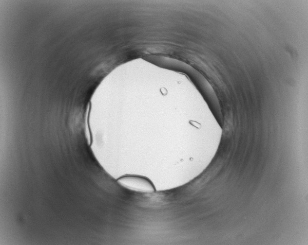 X0000116550478201001071119