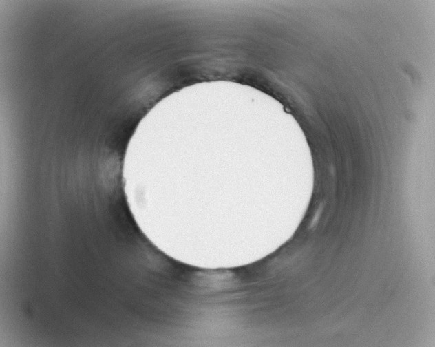 X0000116550480201001071119