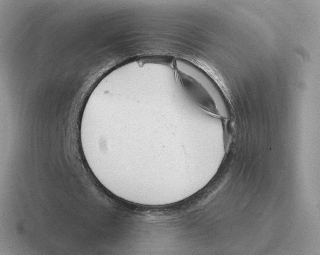 X0000116550481201001071119