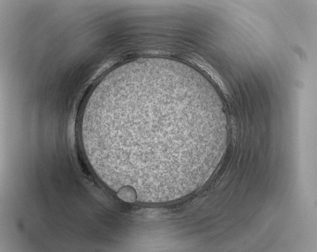 X0000116550482201001071119