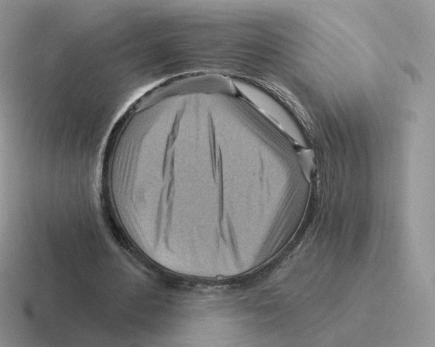 X0000116550484201001071119